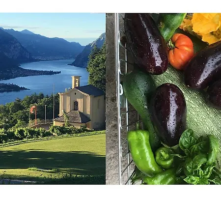 Villa Civenna & Garden